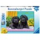 Ravensburger puzzel 300 stukjes 9 + Zwarte Labradors